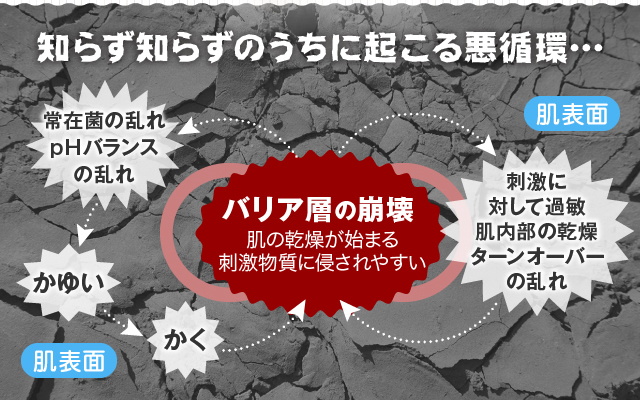 知らず知らずのうちに起こる悪循環…肌表面常在菌の乱れ・pHバランスの乱れ→かゆい→かく→バリア層の崩壊肌の乾燥が始まる刺激物質に侵されやすい