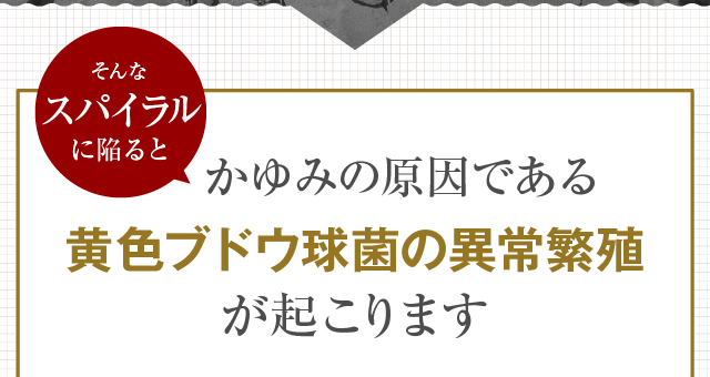 そんなスパイラルに陥るとかゆみの原因である黄色ブドウ球菌の異常繁殖が起こります