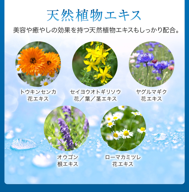 天然植物エキス美容や癒やしの効果を持つ天然植物エキスもしっかり配合。